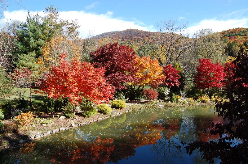 Homes for Sale Beaverdam Run, Asheville, NC T&M Realty